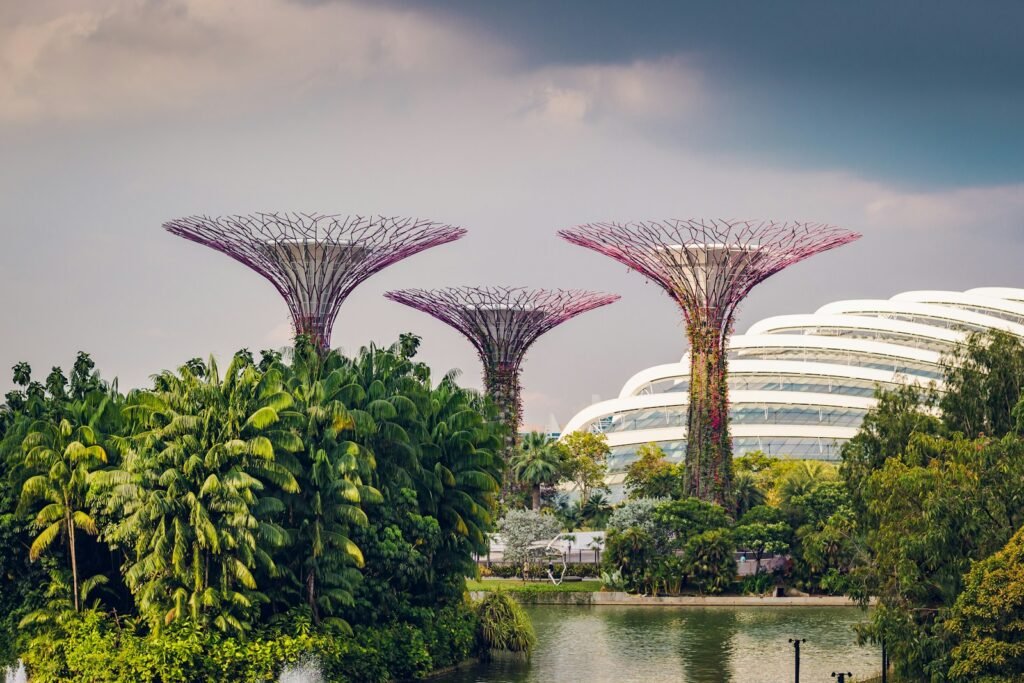 Singapore Sole Trader Registration 2025 – How to Register, Maintain, and Avoid Penalties